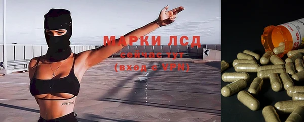 PSILOCYBIN Верея