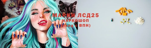 ГАЛЛЮЦИНОГЕННЫЕ ГРИБЫ Бронницы