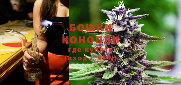 эйфоретик Бородино