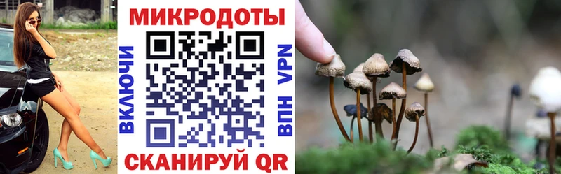 где купить наркоту  мега ТОР  Псилоцибиновые грибы Cubensis  дарк нет телеграм  Жердевка 