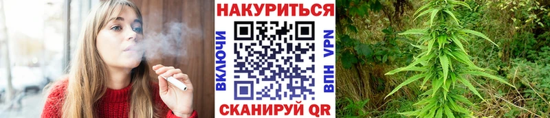 Шишки марихуана THC 21%  цена наркотик  гидра ТОР  Жердевка 